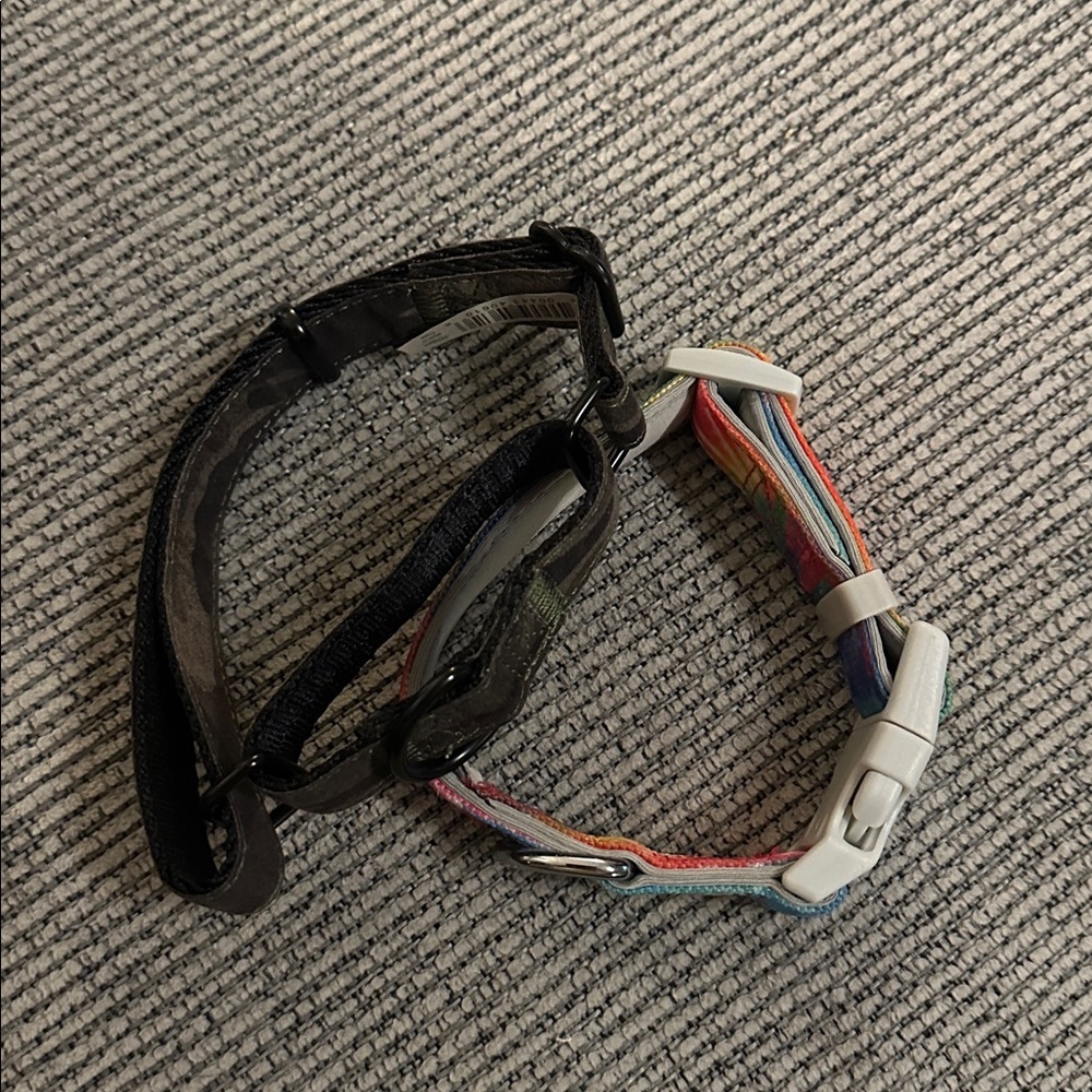 Dog Collars - Size Small - Picture 3 of 4